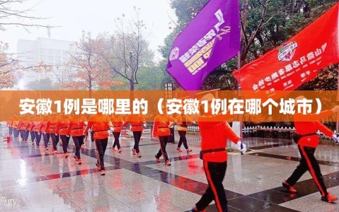 安徽1例是哪里的（安徽1例在哪个城市）