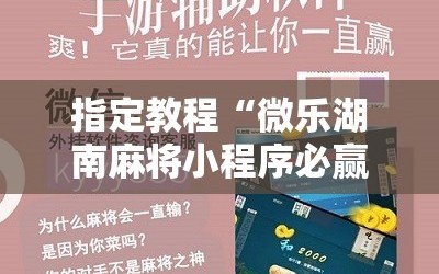 指定教程“微乐湖南麻将小程序必赢神器免费”分享装挂详细步骤