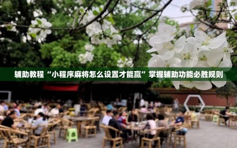 辅助教程“小程序麻将怎么设置才能赢”掌握辅助功能必胜规则