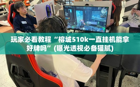 玩家必看教程“榕城510k一直挂机能拿好牌吗”(曝光透视必备猫腻)