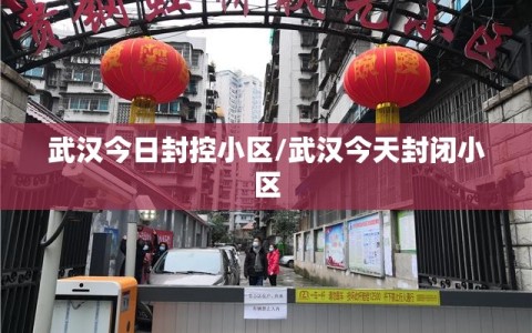 武汉今日封控小区/武汉今天封闭小区