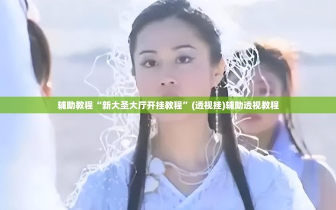 辅助教程“新大圣大厅开挂教程”(透视挂)辅助透视教程