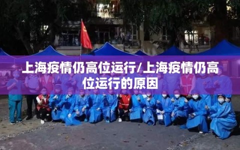 上海疫情仍高位运行/上海疫情仍高位运行的原因