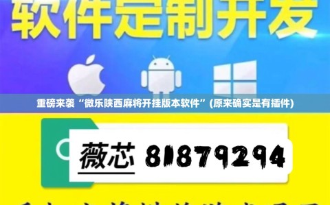 重磅来袭“微乐陕西麻将开挂版本软件”(原来确实是有插件)