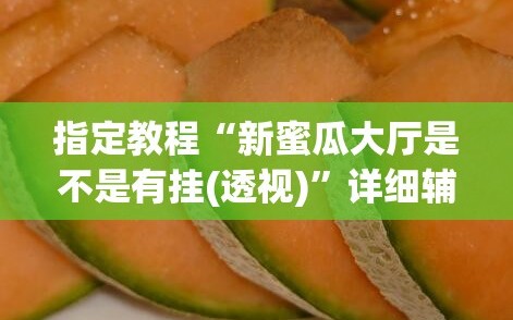 指定教程“新蜜瓜大厅是不是有挂(透视)”详细辅助透视
