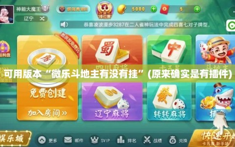 可用版本“微乐斗地主有没有挂”(原来确实是有插件)
