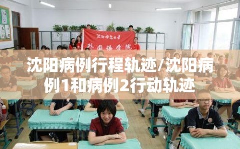 沈阳病例行程轨迹/沈阳病例1和病例2行动轨迹