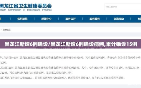 黑龙江新增6例确诊/黑龙江新增6例确诊病例,累计确诊15例
