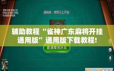 辅助教程“雀神广东麻将开挂通用版”通用版下载教程!