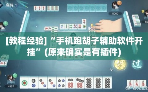 [教程经验]“手机跑胡子辅助软件开挂”(原来确实是有插件)