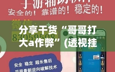 分享干货“哥哥打大a作弊”(透视挂)辅助透视教程