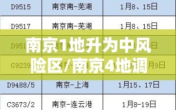 南京1地升为中风险区/南京4地调整为中风险地区
