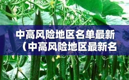 中高风险地区名单最新（中高风险地区最新名单有哪些）