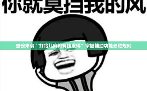重磅来袭“打哈儿麻将有挂没得”掌握辅助功能必胜规则