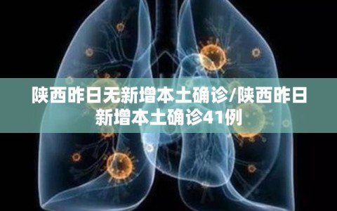 陕西昨日无新增本土确诊/陕西昨日新增本土确诊41例