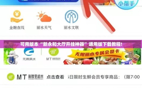 可用版本“新永和大厅开挂神器”通用版下载教程!