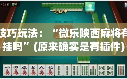 技巧玩法：“微乐陕西麻将有挂吗”(原来确实是有插件)