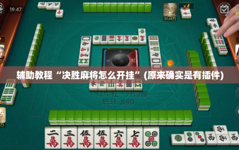 辅助教程“决胜麻将怎么开挂”(原来确实是有插件)