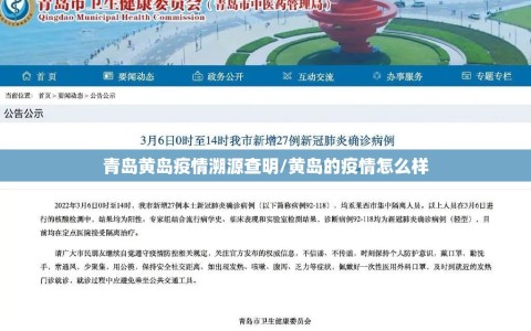 青岛黄岛疫情溯源查明/黄岛的疫情怎么样