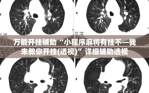 万能开挂辅助“小程序麻将有挂不—我来教你开挂(透视)”详细辅助透视