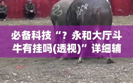 必备科技“？永和大厅斗牛有挂吗(透视)”详细辅助透视