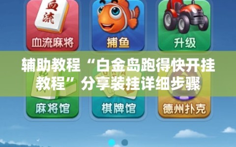 辅助教程“白金岛跑得快开挂教程”分享装挂详细步骤