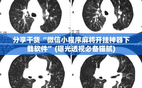 分享干货“微信小程序麻将开挂神器下载软件”(曝光透视必备猫腻)