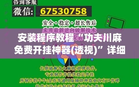 安装程序教程“功夫川麻免费开挂神器(透视)”详细辅助透视