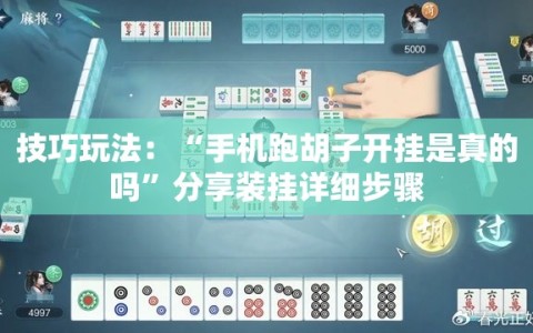 技巧玩法：“手机跑胡子开挂是真的吗”分享装挂详细步骤