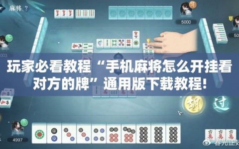 玩家必看教程“手机麻将怎么开挂看对方的牌”通用版下载教程!