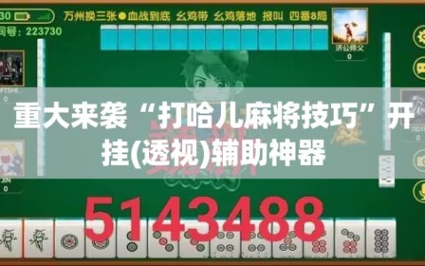 重大来袭“打哈儿麻将技巧”开挂(透视)辅助神器