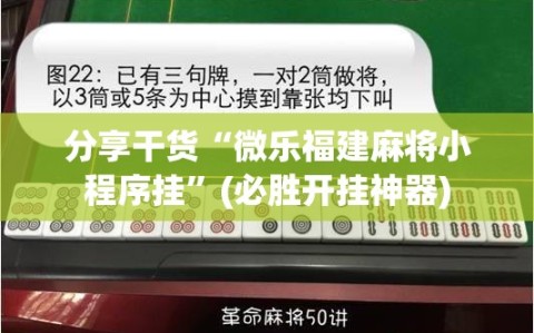 分享干货“微乐福建麻将小程序挂”(必胜开挂神器)