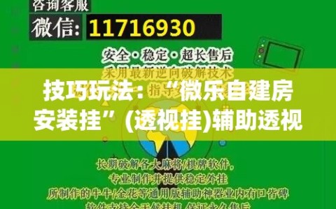 技巧玩法：“微乐自建房安装挂”(透视挂)辅助透视教程
