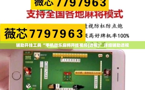 辅助开挂工具“手机微乐麻将开挂视频(透视)”详细辅助透视