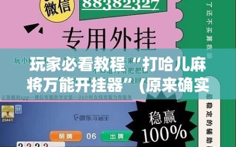玩家必看教程“打哈儿麻将万能开挂器”(原来确实是有插件)