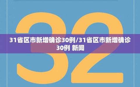 31省区市新增确诊30例/31省区市新增确诊30例 新闻