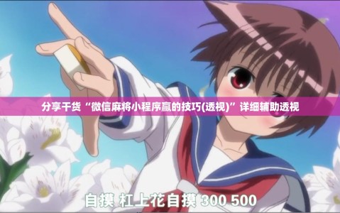分享干货“微信麻将小程序赢的技巧(透视)”详细辅助透视