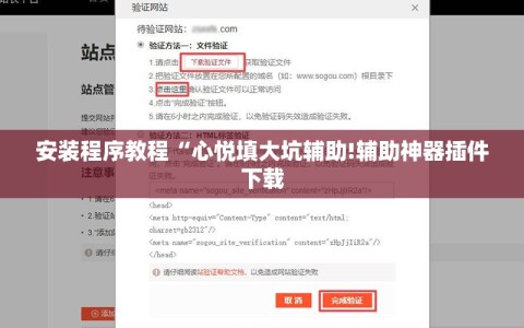 安装程序教程“心悦填大坑辅助!辅助神器插件下载