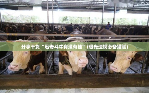 分享干货“迅奇斗牛有没有挂”(曝光透视必备猫腻)