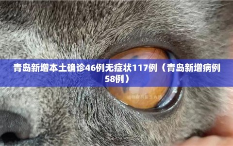 青岛新增本土确诊46例无症状117例（青岛新增病例58例）