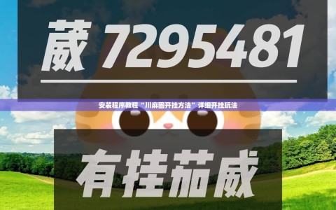 安装程序教程“川麻圈开挂方法”详细开挂玩法