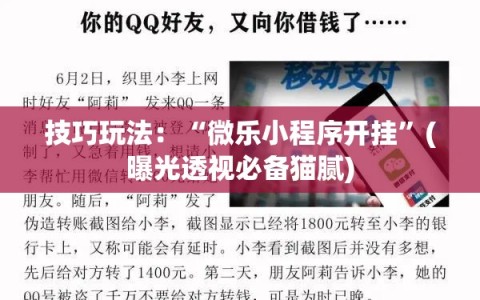 技巧玩法：“微乐小程序开挂”(曝光透视必备猫腻)
