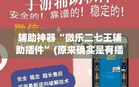 辅助神器“微乐二七王辅助插件”(原来确实是有插件)