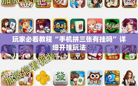 玩家必看教程“手机拼三张有挂吗”详细开挂玩法