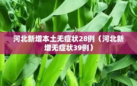 河北新增本土无症状28例（河北新增无症状39例）