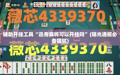 辅助开挂工具“迅奇麻将可以开挂吗”(曝光透视必备猫腻)