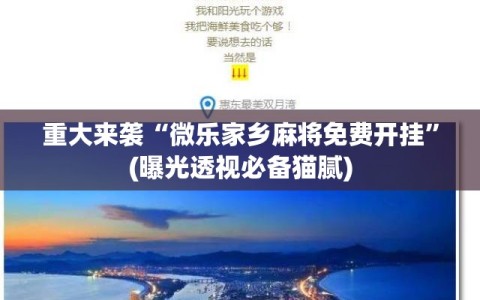 重大来袭“微乐家乡麻将免费开挂”(曝光透视必备猫腻)