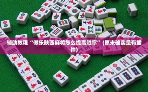 辅助教程“微乐陕西麻将怎么提高胜率”(原来确实是有插件)