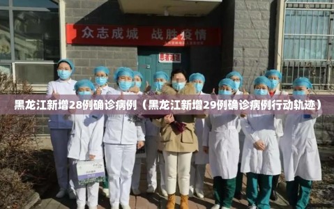 黑龙江新增28例确诊病例（黑龙江新增29例确诊病例行动轨迹）