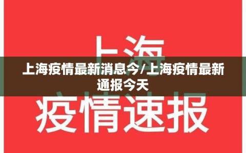 上海疫情最新消息今/上海疫情最新通报今天